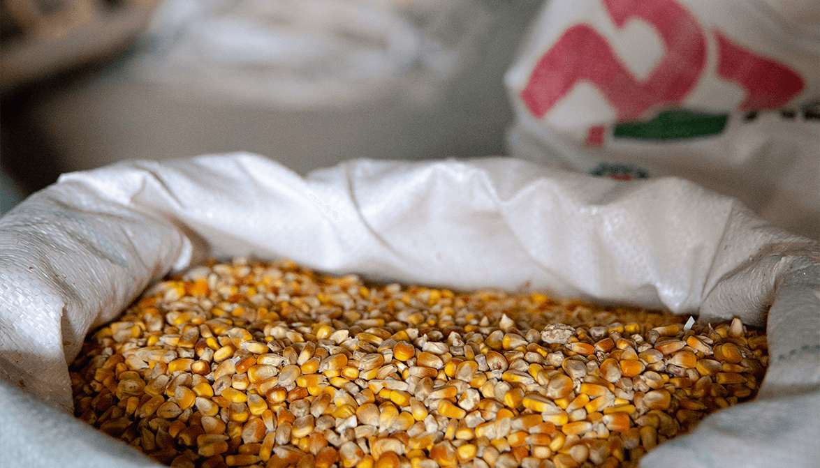 Sacks of Feed arranged in a factory