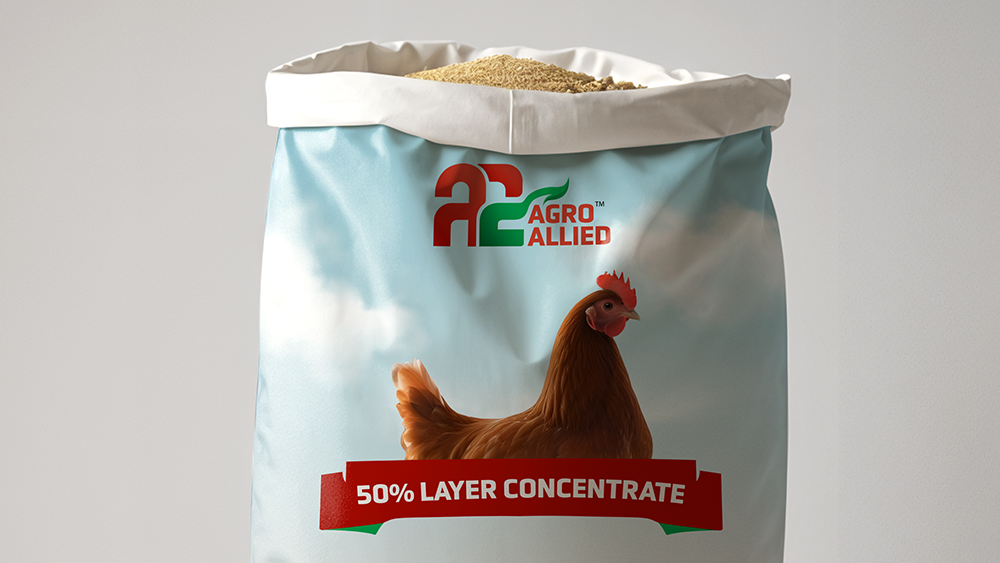 50% Layer Concentrate Feed