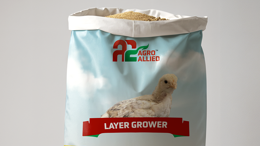 Layer Grower Feed