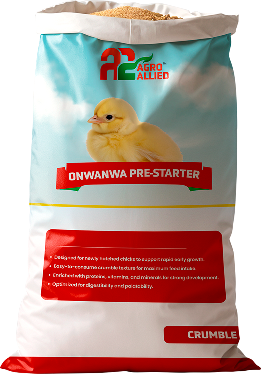 Onwanwa Pre-Starter